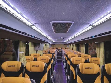Bus — High Roof — view 4